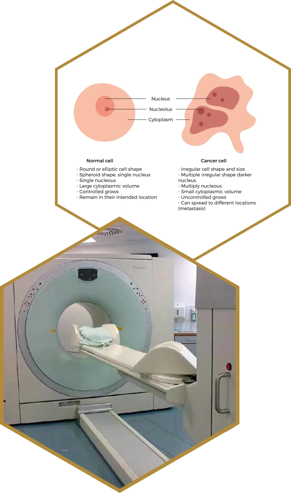 Molecular Imaging Technology Inc.