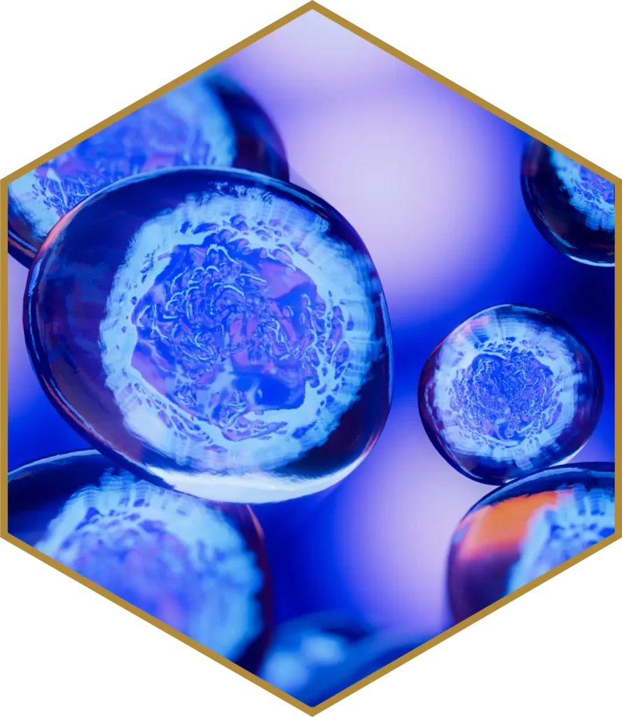 Molecular Imaging Technology Inc.